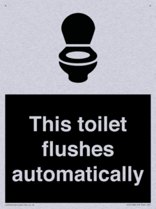 This toilet flushes automatically